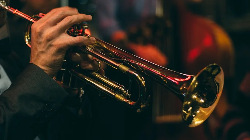 Elena Voss Quartet